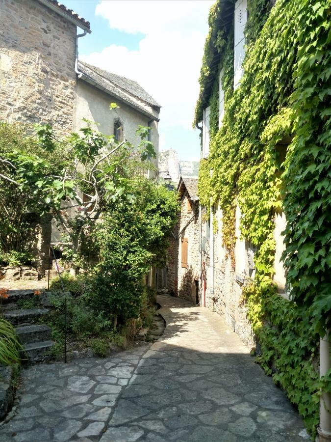 Ermitage De Peyreleau Bed & Breakfast Exterior photo